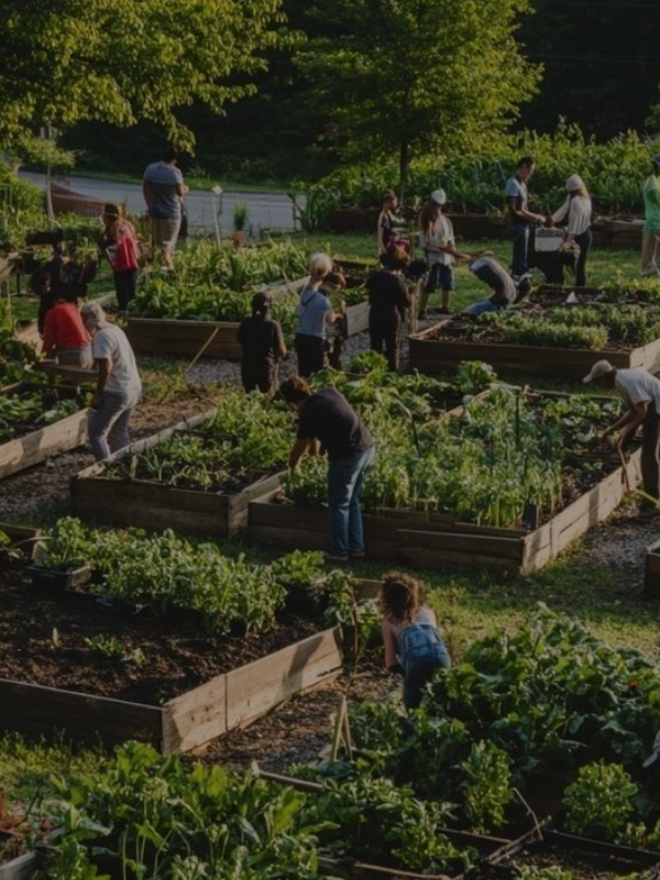 Community Farm Mornings