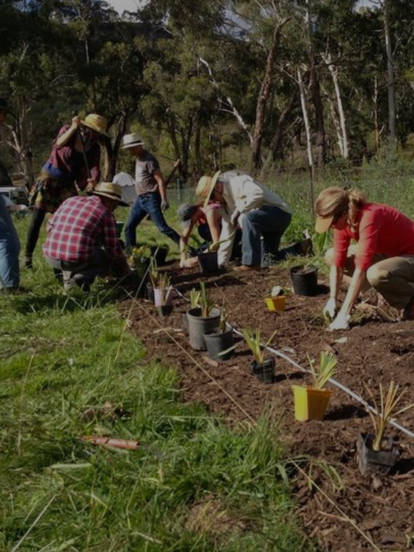 Permaculture Design Course