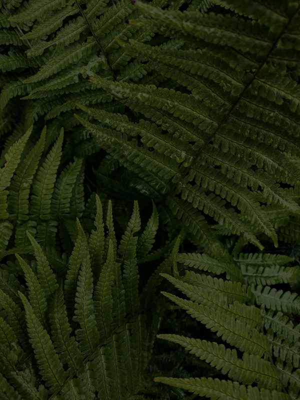 Join now to become a founding member or facilitator.